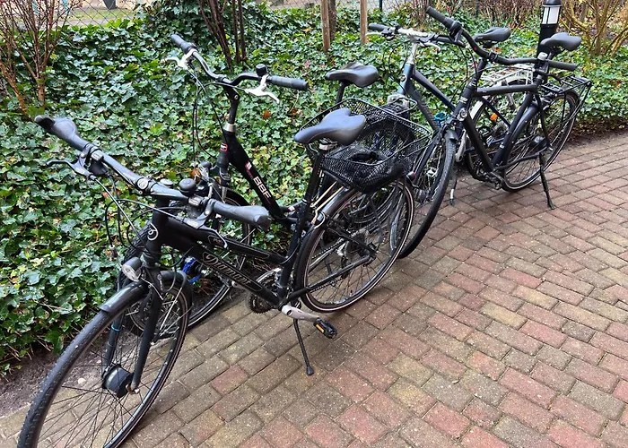 Fewo Patio Inkl Strandkorb Und Fahrraeder