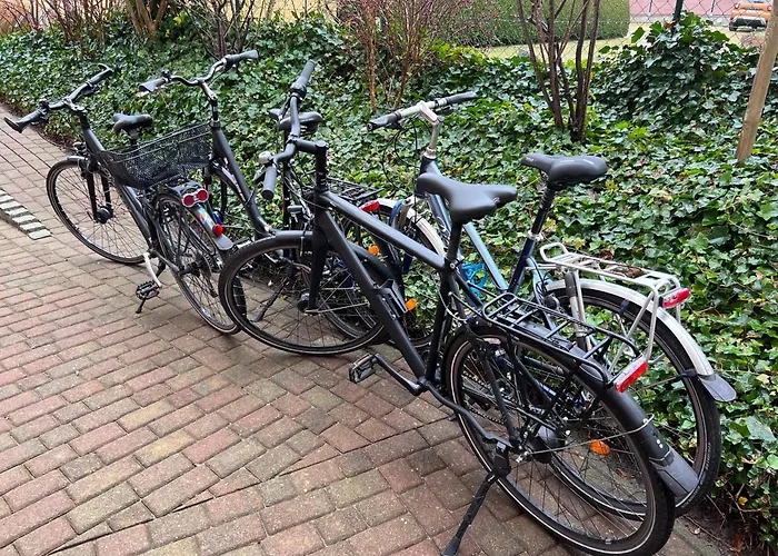 Fewo Patio Inkl Strandkorb Und Fahrraeder
