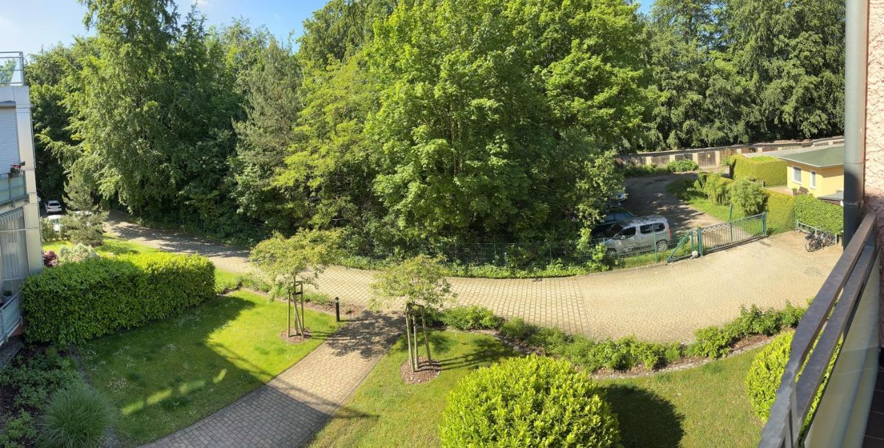 Patio Inkl Strandkorb Und Fahrraeder Heringsdorf (Usedom)